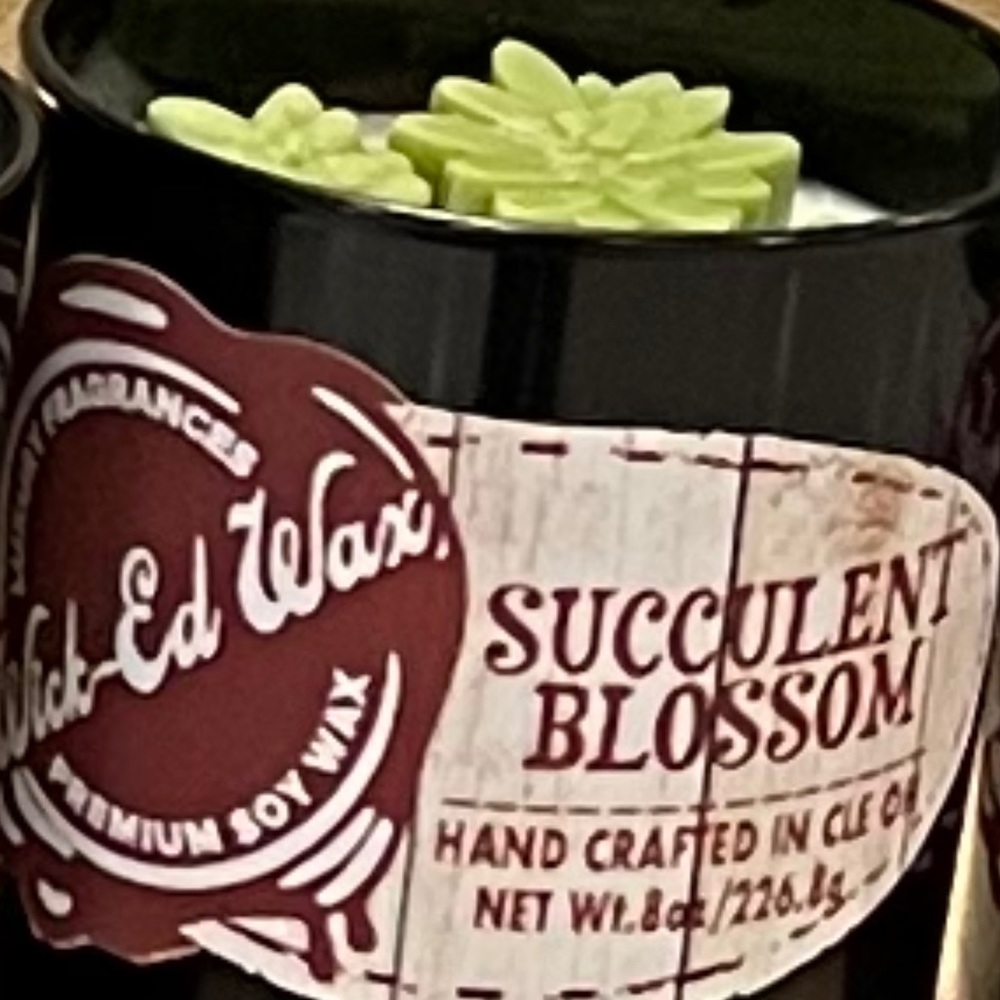 Succulent Soy Candle